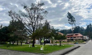 Proyecto Exclusivo de Casas Cuenca Málaga y Lisboa 2