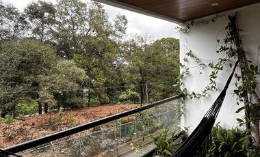 departamento renta centro veracruz queretaro