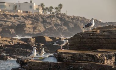 Punta Piedra Lot with Ocean Views – Location, Lifestyle and Value