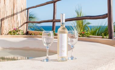 Lujoso Penthouse frente al Mar en Mahahual con Roof Top Privado