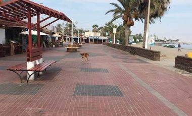 SE VENDE TERRENO PARACAS