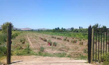 Parcela La llaveria, comuna Las Cabras