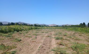 Parcela La llaveria, comuna Las Cabras