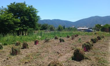Parcela La llaveria, comuna Las Cabras