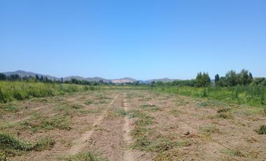 Parcela La llaveria, comuna Las Cabras