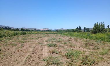 Parcela La llaveria, comuna Las Cabras