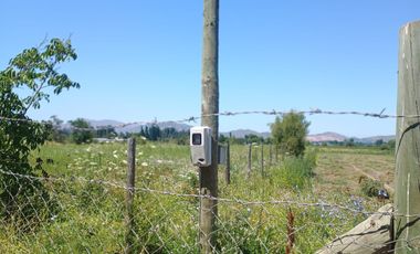 Parcela La llaveria, comuna Las Cabras