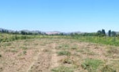 Parcela La llaveria, comuna Las Cabras