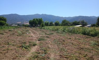 Parcela La llaveria, comuna Las Cabras