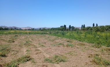 Parcela La llaveria, comuna Las Cabras