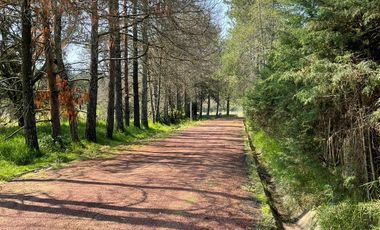 se vende casa con terreno de 5,200m2 en Jilotepec, Denjhi, Calpulalpan, Estado de México