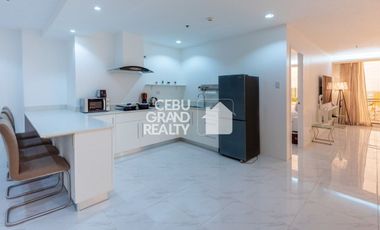Spacious Fully Furnished 3 Bedroom Penthouse for Rent near IT Park
