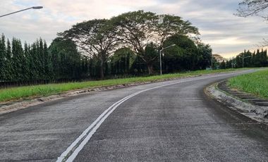 Phase 3 & size 470Sqm Lot for sale in Manila Southwoods Residential Estates near Alabang in Metro Manila