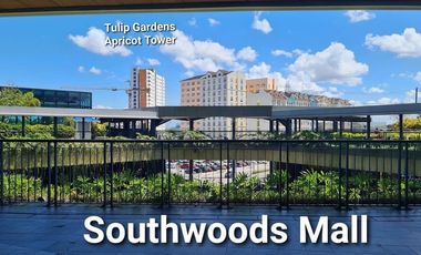 Phase 3 & size 470Sqm Lot for sale in Manila Southwoods Residential Estates near Alabang in Metro Manila