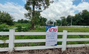 Land for sale, Villa at On project, size 2 ngan 49.7 square wa.
