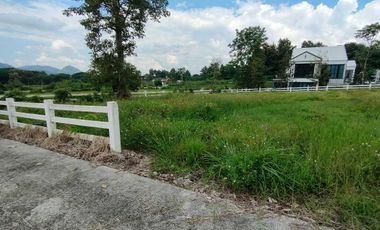 Land for sale, Villa at On project, size 2 ngan 49.7 square wa.