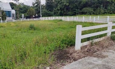 Land for sale, Villa at On project, size 2 ngan 49.7 square wa.