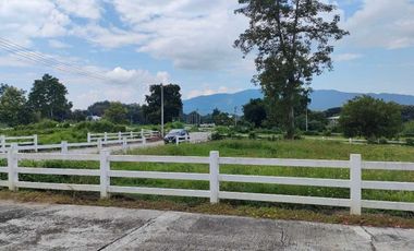 Land for sale, Villa at On project, size 2 ngan 49.7 square wa.