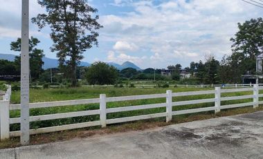 Land for sale, Villa at On project, size 2 ngan 49.7 square wa.