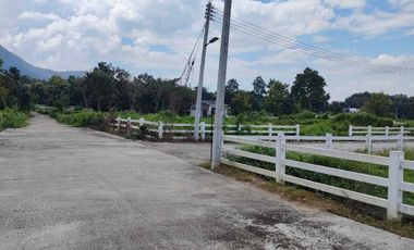 Land for sale, Villa at On project, size 2 ngan 49.7 square wa.
