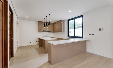 Brand New House and Lot for Sale at The Orchard Residential Estates