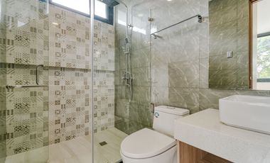 Brand New House and Lot for Sale at The Orchard Residential Estates