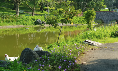 3 Bedroom house With Office and Balcony in  Ayala Westgrove Heights Inchican Silang Cavite