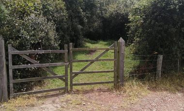 LOTE EN VENTA EN TABIO (VDA. RÍO FRÍO ORIENTAL)