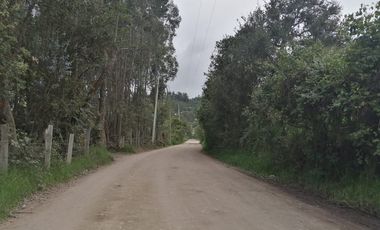 LOTE EN VENTA EN TABIO (VDA. RÍO FRÍO ORIENTAL)
