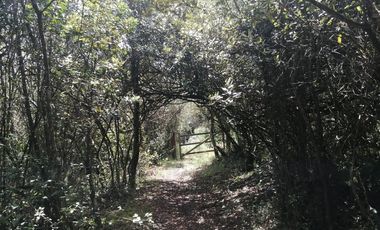 LOTE EN VENTA EN TABIO (VDA. RÍO FRÍO ORIENTAL)