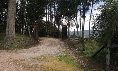 LOTE EN VENTA EN TABIO (VDA. RÍO FRÍO ORIENTAL)