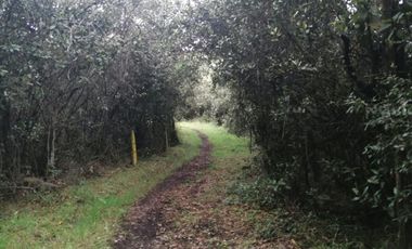 LOTE EN VENTA EN TABIO (VDA. RÍO FRÍO ORIENTAL)