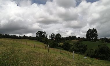 LOTE EN VENTA EN TABIO (VDA. RÍO FRÍO ORIENTAL)