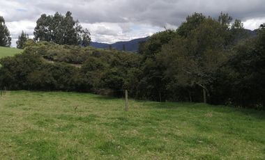 LOTE EN VENTA EN TABIO (VDA. RÍO FRÍO ORIENTAL)