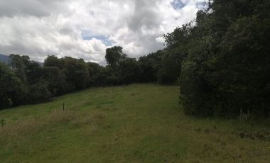 LOTE EN VENTA EN TABIO (VDA. RÍO FRÍO ORIENTAL)