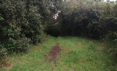 LOTE EN VENTA EN TABIO (VDA. RÍO FRÍO ORIENTAL)