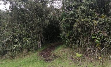 LOTE EN VENTA EN TABIO (VDA. RÍO FRÍO ORIENTAL)