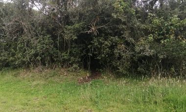 LOTE EN VENTA EN TABIO (VDA. RÍO FRÍO ORIENTAL)