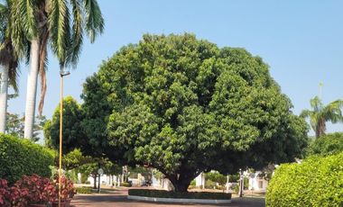 CASA CAMPESTRE EN VENTA EN GIRARDOT