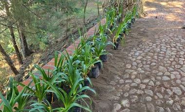 Cabaña Nueva en Mazamitla Jalisco Coto La Esmeralda
