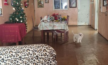 VENDE CASA AMPLIO TERRENO EN SECTOR GULTRO OLIVAR