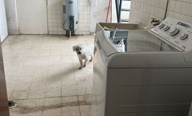 Casa para remodelar en Lomas de Chapultepec