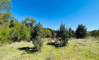 OPORTUNIDAD Vendemos parcelas en sector San Javier (Balseo) ,ACCESO  por Quitacalzon o camino antilhue.
