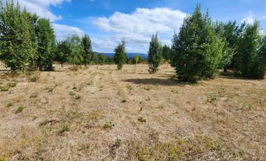 OPORTUNIDAD Vendemos parcelas en sector San Javier (Balseo) ,ACCESO  por Quitacalzon o camino antilhue.