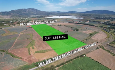 MACRO LOTE EN VENTA, FRENTE A CARRETERA INTERNACIONAL GDL-NOGALES, MUNICIPIO DE EL ARENAL, JALISCO.
