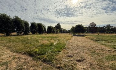 Se Vende Propiedad en Parcela en Paillaco, Región de Los Ríos.
