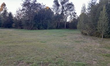 Arriendo Casa en Parcela sector Chabelita Valdivia