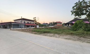 ด่วนราคาสุดท้าย ที่ดินแยกหลุยส์ ตลาดเจริญๆ  ใกล้ถนนใหญ่สันกำแพง แปลงมุมสี่เหลี่ยมสวย 188 ตร.วา 10 นาาทีไปห้างมากมาย