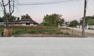 ด่วนราคาสุดท้าย ที่ดินแยกหลุยส์ ตลาดเจริญๆ  ใกล้ถนนใหญ่สันกำแพง แปลงมุมสี่เหลี่ยมสวย 188 ตร.วา 10 นาาทีไปห้างมากมาย