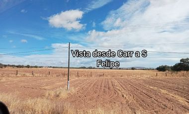 Terreno en Venta 35 has en Ocampo, Gto., plano y con represa.
